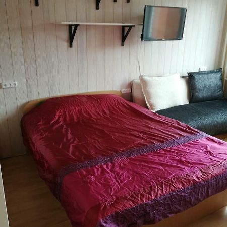 Flat, 1 Room, Study Panevėžys 外观 照片
