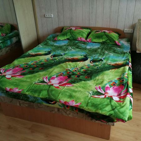Flat, 1 Room, Study Panevėžys 外观 照片