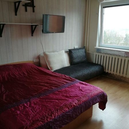 Flat, 1 Room, Study Panevėžys 外观 照片
