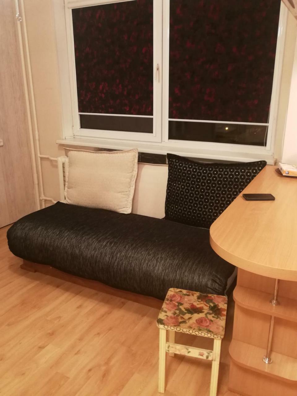 Flat, 1 Room, Study Panevėžys 外观 照片
