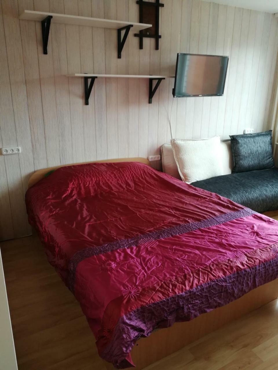 Flat, 1 Room, Study Panevėžys 外观 照片