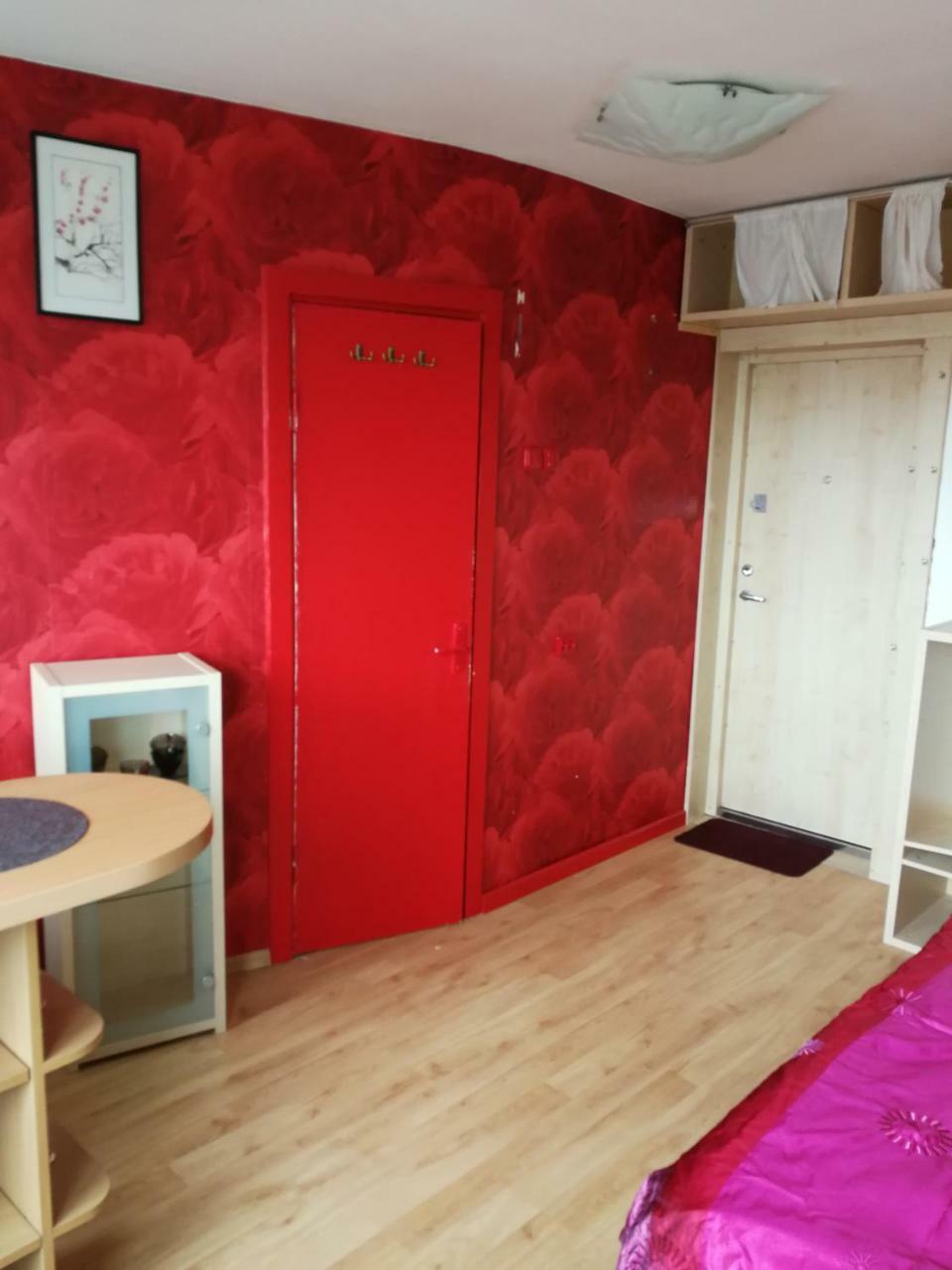 Flat, 1 Room, Study Panevėžys 外观 照片
